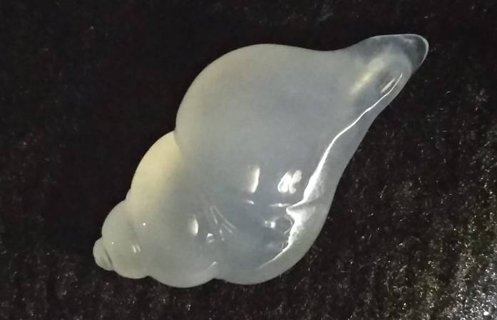shell